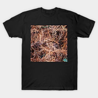 Autumn gold fern T-Shirt